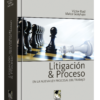 Litigación y proceso en la nueva ley procesal del trabajo