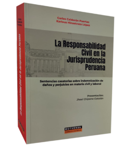 La responsabilidad civil en la jurisprudencia peruana