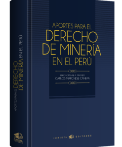 Aportes para el Derecho de Minería en el Perú