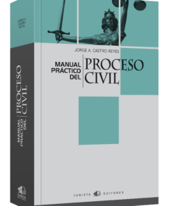 Manual práctico del proceso civil